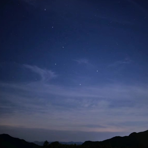 亚洲AV毛片儿激烈的
