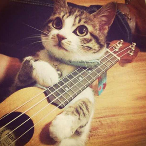 亚洲AV毛片儿激烈的
